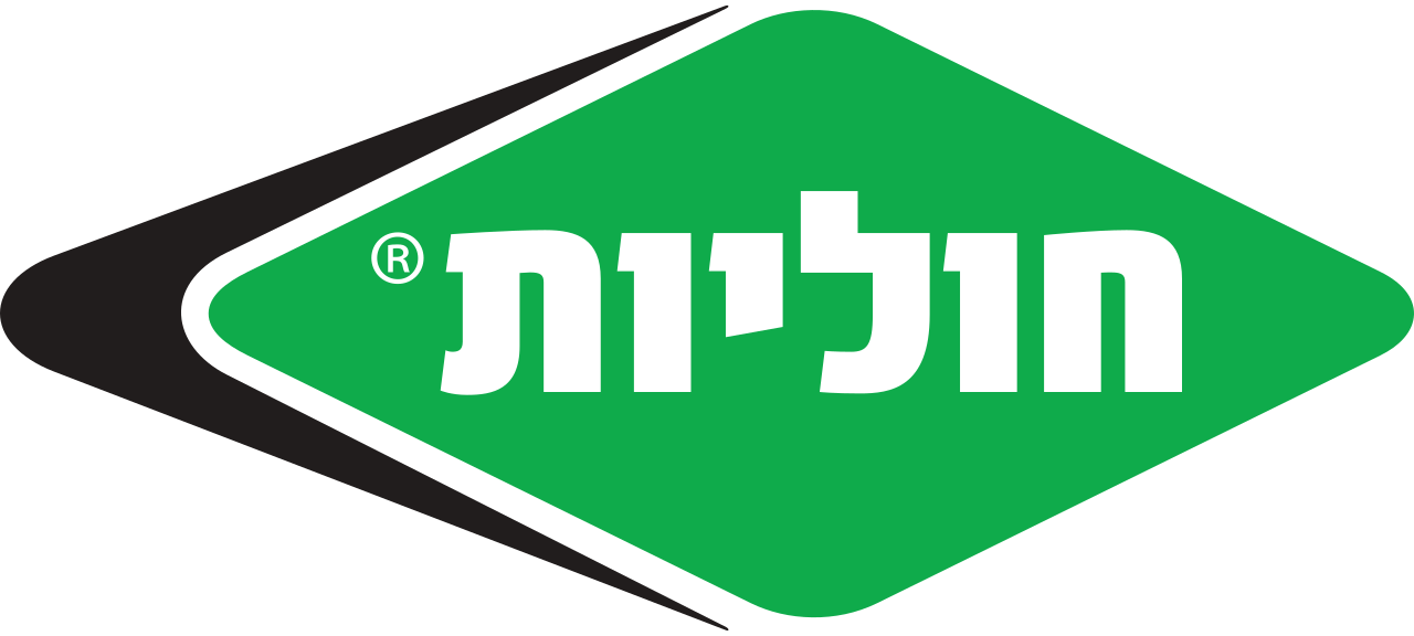 חוליות